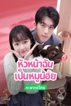 หัวหน้าฉันเป็นหมูน้อย My Piggy Boss พากย์ไทย EP.1-12